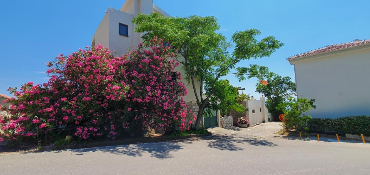 Boutique Home Saltaragazza Petrovac Exterior photo