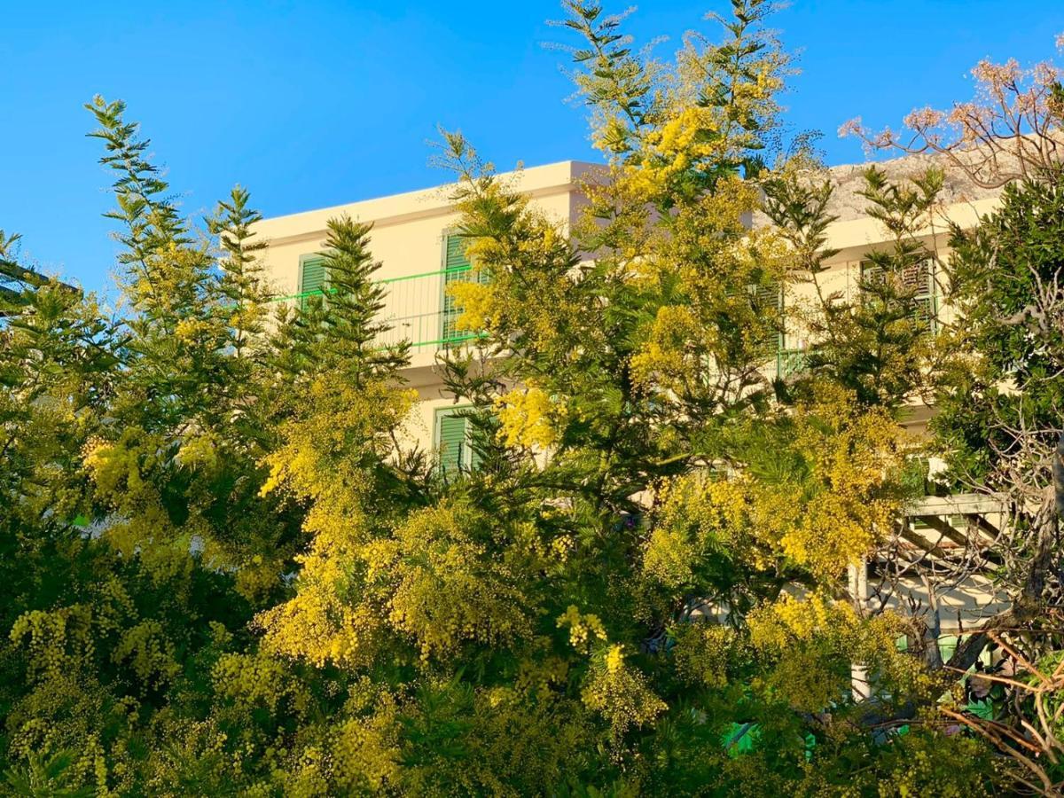 Boutique Home Saltaragazza Petrovac Exterior photo