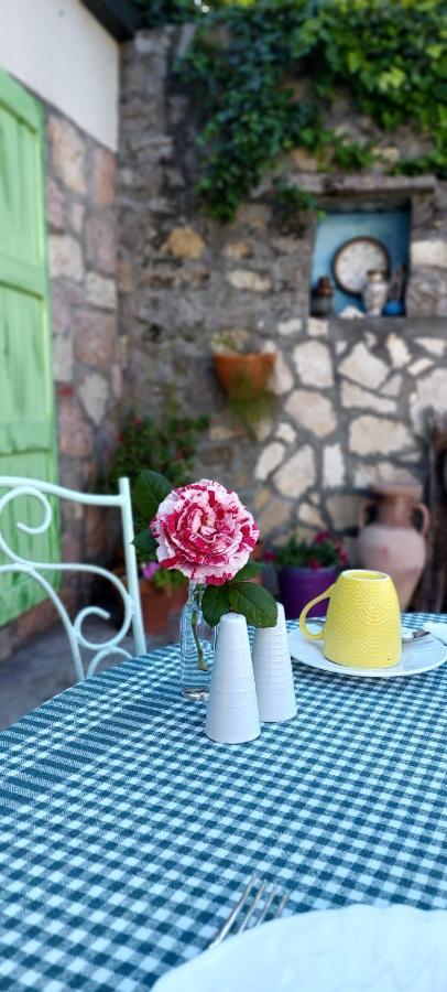 Boutique Home Saltaragazza Petrovac Exterior photo