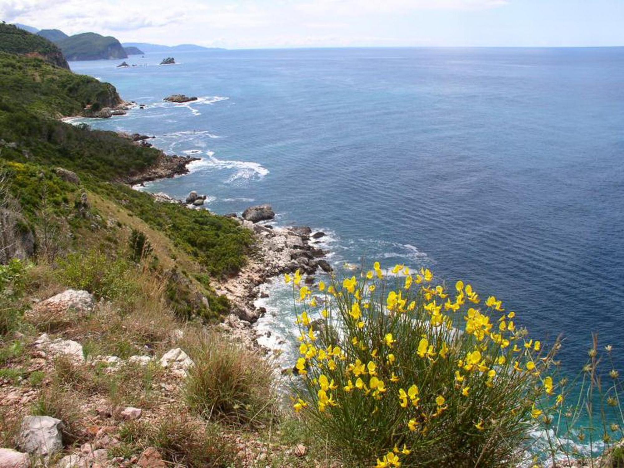 Boutique Home Saltaragazza Petrovac Exterior photo